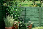 Sadolin Garden (4).jpg