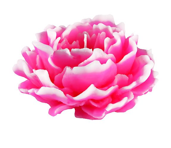 _wieca (4)-013-2014-07-29 _ 11_26_44-80