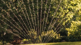 Jak oszczędzać wodę w ogrodzie Dom, LIFESTYLE - Aby utrzymać trawnik i rośliny w doskonałej kondycji należy je systematycznie podlewać. Z pomocą przychodzą nowoczesne urządzenia do nawadniania, jak np. zraszacze redukujące zużycie wody czy sterowniki, dzięki którym możemy automatycznie dozować odpowiednią jej ilość.