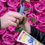 Silan Ylang Ylang&Vetiver Scent – wyjątkowy zapach i jakość w służbie środowisku