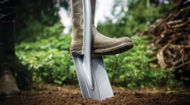 Jesienne sadzenie róż – krok po kroku Dom, LIFESTYLE - Październik to doskonały czas na sadzenie róż, zarówno tych w doniczkach, jak i z odkrytym systemem korzeniowym. Potrzebujemy kilku podstawowych narzędzi, jak sekator, szpadel i widły oraz zdrową sadzonkę i możemy przystąpić do działania.