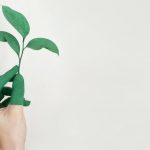 5 sposobów na bycie eco