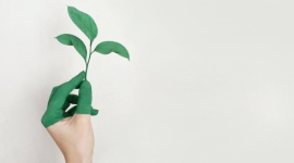 5 sposobów na bycie eco