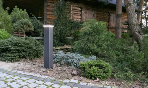 Uroki ekominimalizmu – o trendach ogrodowych na rok 2022
